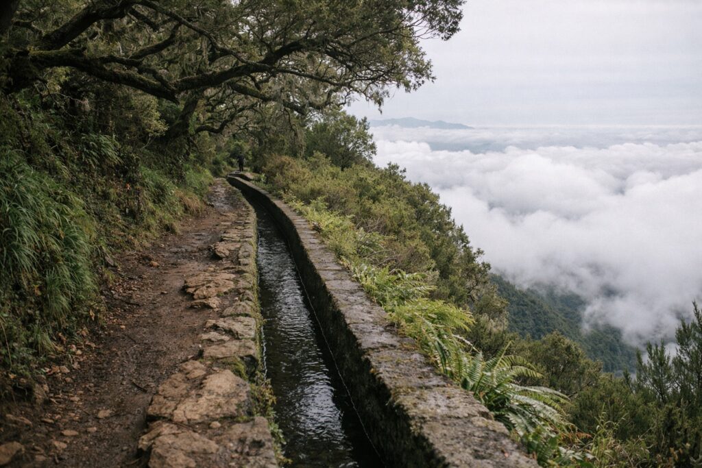 Caminho junto a um canal de água entre árvores antigas de laurissilva acima das nuvens