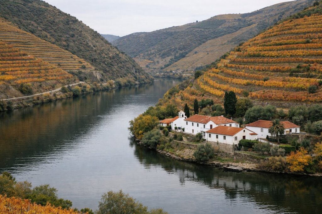 Quinta branca entre socalcos do Douro